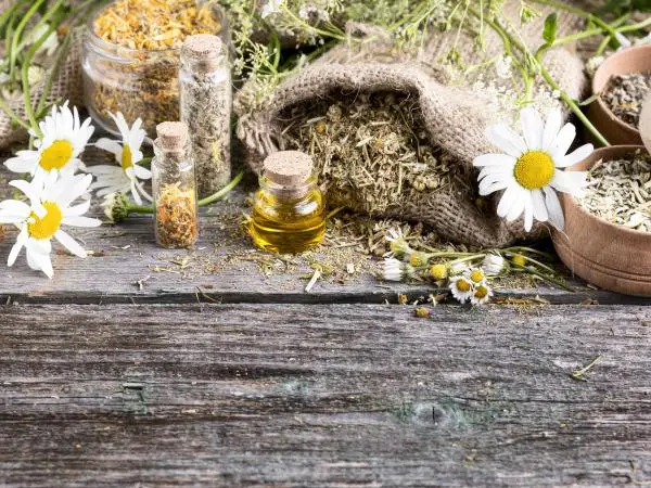 Naturheilmittel und alternative Therapien Naturheilmittel und alternative Therapien